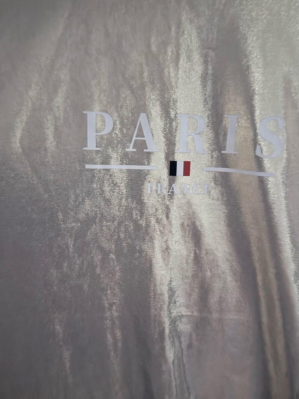 Paris France Metallic Silver Short Sleeve Tee